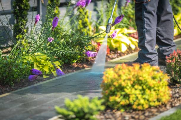 Shamokin, PA Pressure Washing Services Company
